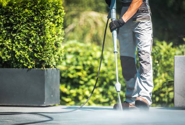 Best Gutter Cleaning  in Chicopee, MA
