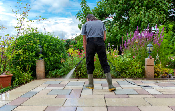 Pre-Holiday Cleaning in Chicopee, MA