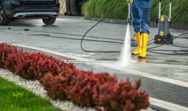 Best House Exterior Washing  in Chicopee, MA